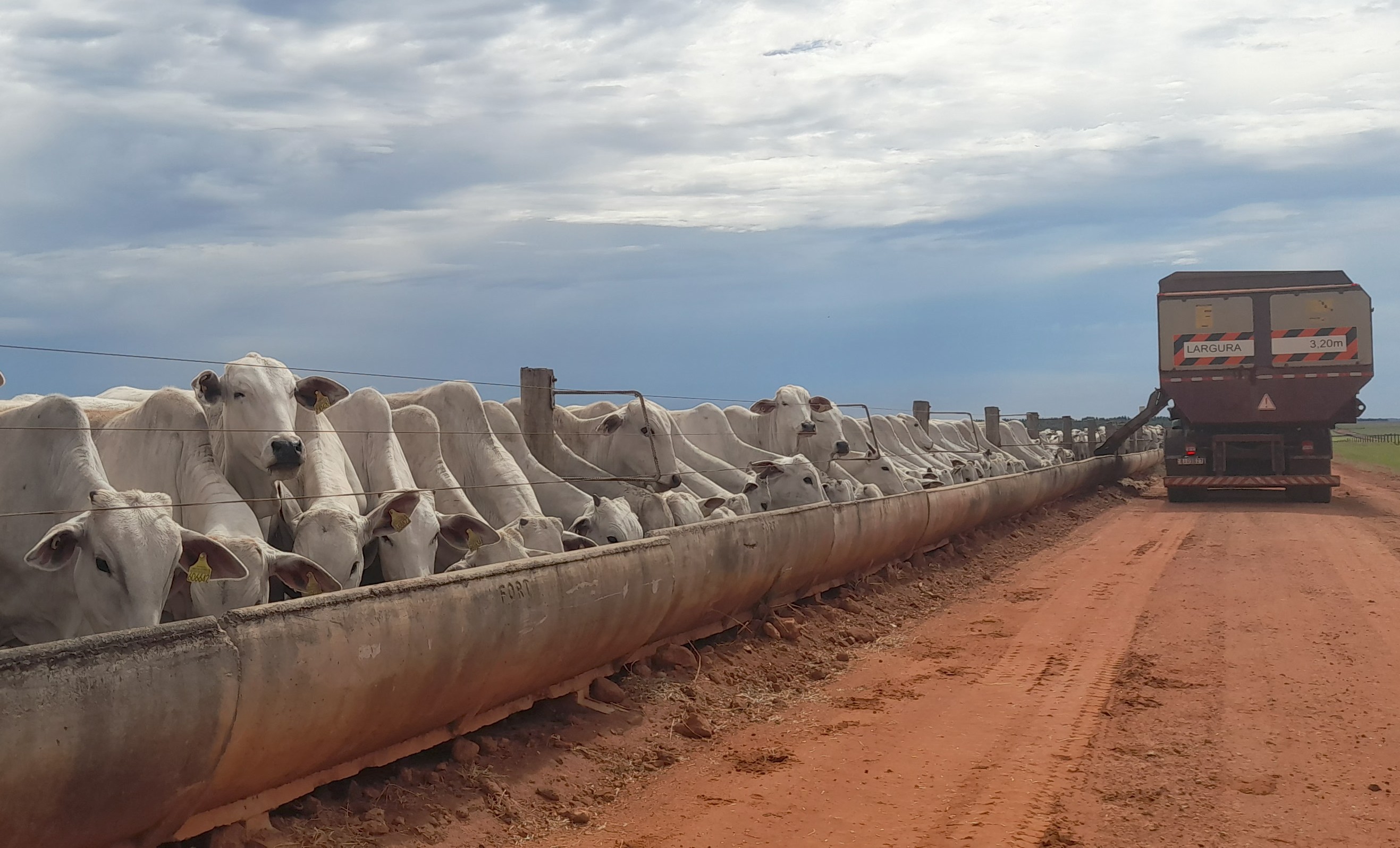 Gestão de carregamentos e fornecimentos