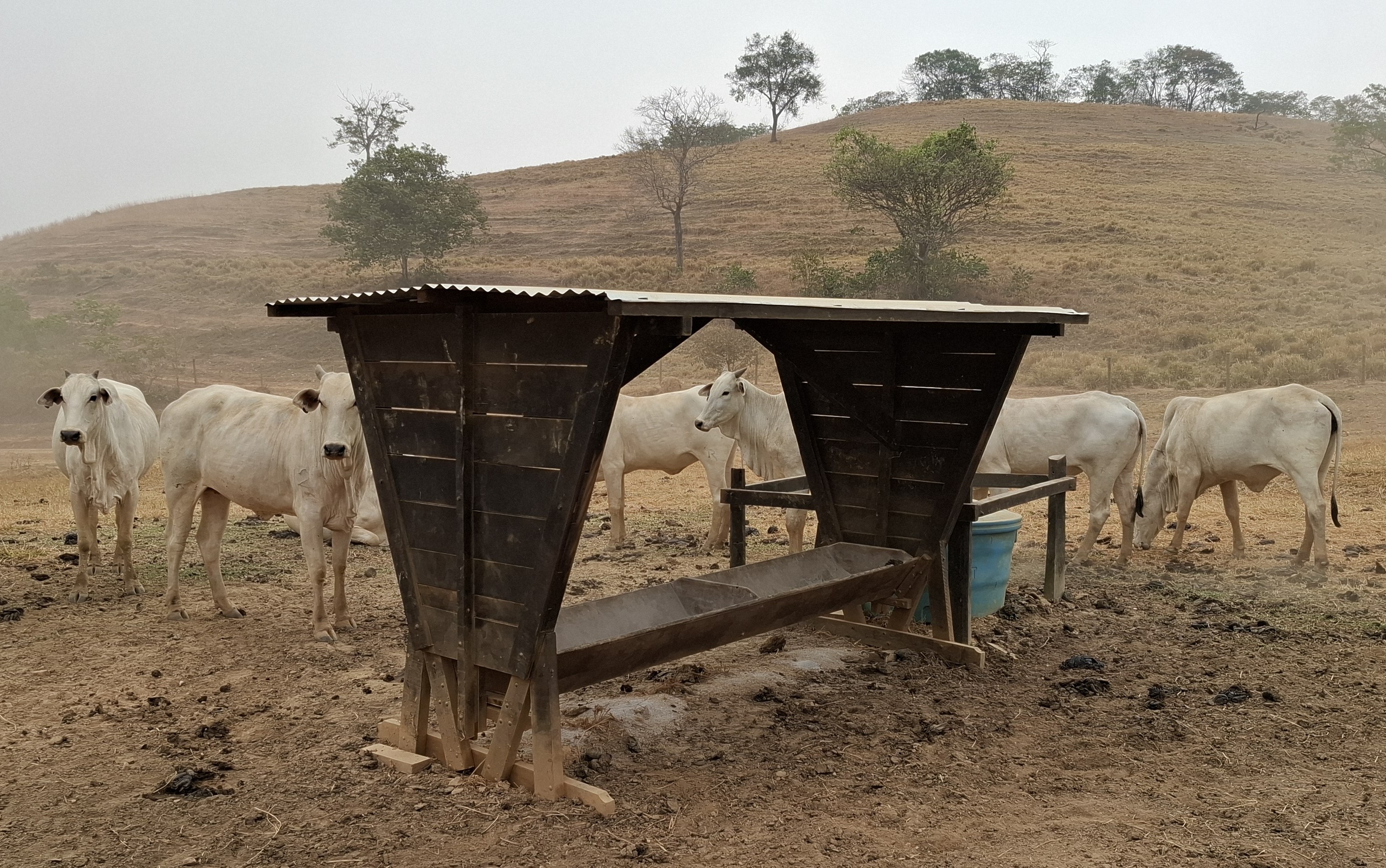 Suplementação na Seca